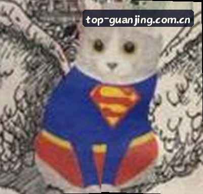 王磊